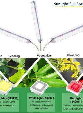 植物灯LED生长全光谱补灯长调光定时仿QYF太阳光生灯Grow灯lig光h