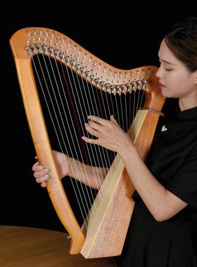 znM19弦莱雅琴22初弦竖琴里携拉DIP琴23弦学者易学便古风小众式乐