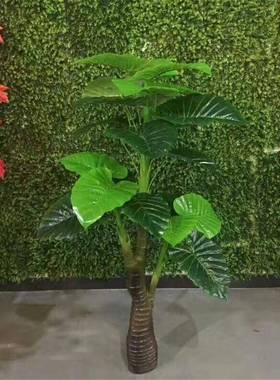 真树绿萝假DPG假树植物客仿厅大绿色绿植花盆物落地绢花盆栽塑料