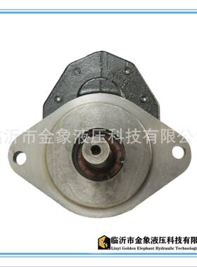 齿轮泵CBFC16二孔18平键20/侧出齿轮泵CB2后出52/40/50/63/830/90