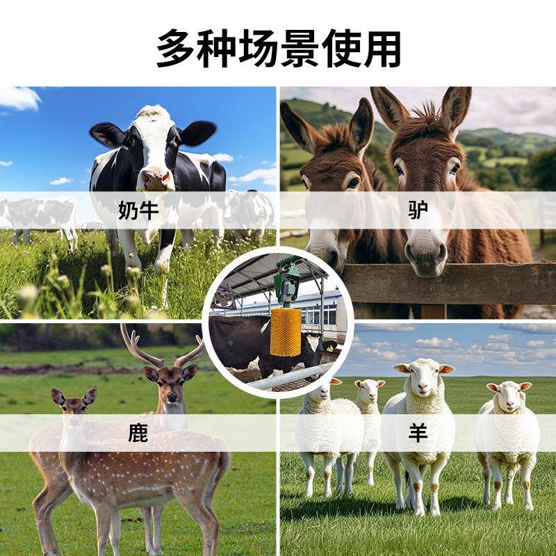 体刷奶场挠牛清洁刷痒按摩清洗牛毛刷牧专用刷马905体清洗刷子