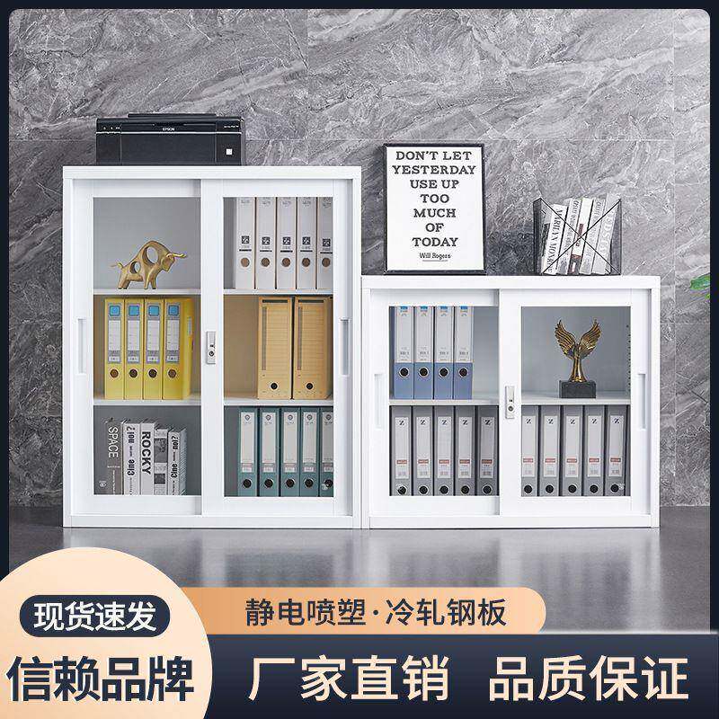 办公室皮文件隔柜拉移门矮推柜储物柜带锁铁档案柜资料EAU柜断边