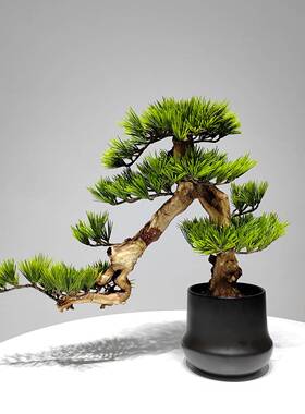 新式仿真迎客崖松罗汉松假树品柏客厅玄关酒69739店装饰茶室中景