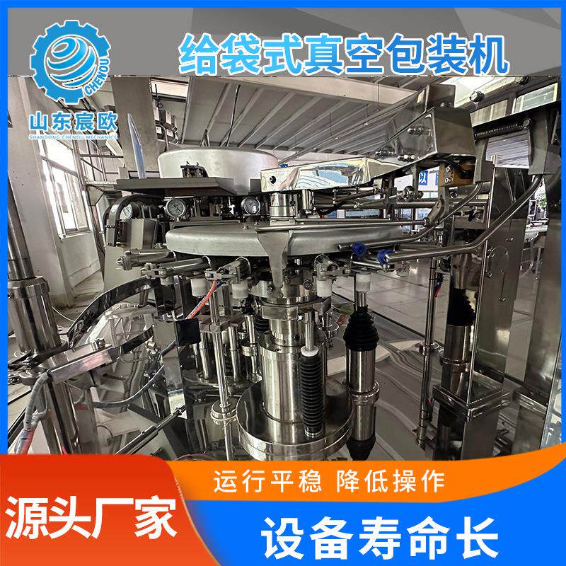 固体颗粒自动包装机 给袋式真空包装机 全自动玉米海参真空包装机