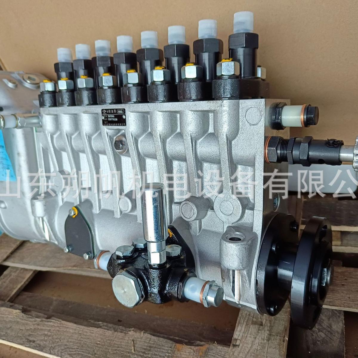 供应潍柴8200船用柴油机喷油泵C82.08.02.1000 BP6879