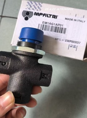 胶泵主过滤器MPFILTRI   FHP3202SAG3250NP01 EM1AG1AP01管接头