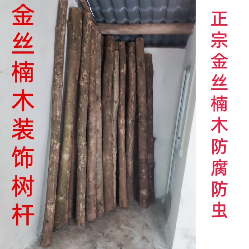 天然金丝楠装饰树杆白桦树干楠木原木干花枯树枝婚庆橱窗隔断造景