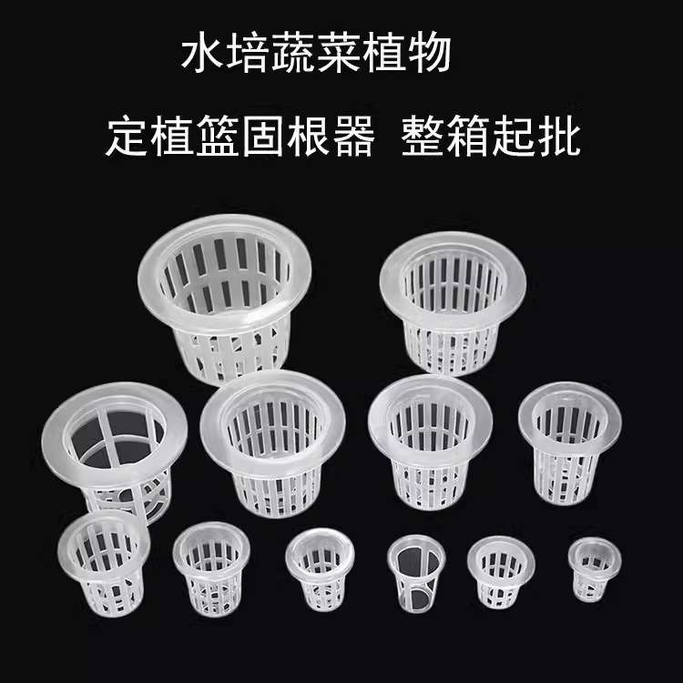 水培定植蓝种植杯无土栽培定植篮塑料杯水培固根器水培篮蔬菜