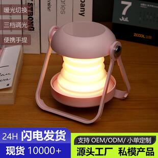 台灯床头高级氛围感卧室宿舍插电式轻奢高颜值中古风充插两用台灯