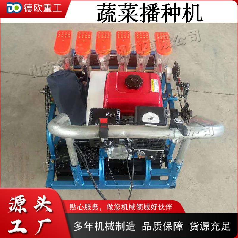 小型蔬菜播种机 手推式汽油六行点播机 小型农作物施肥覆土机