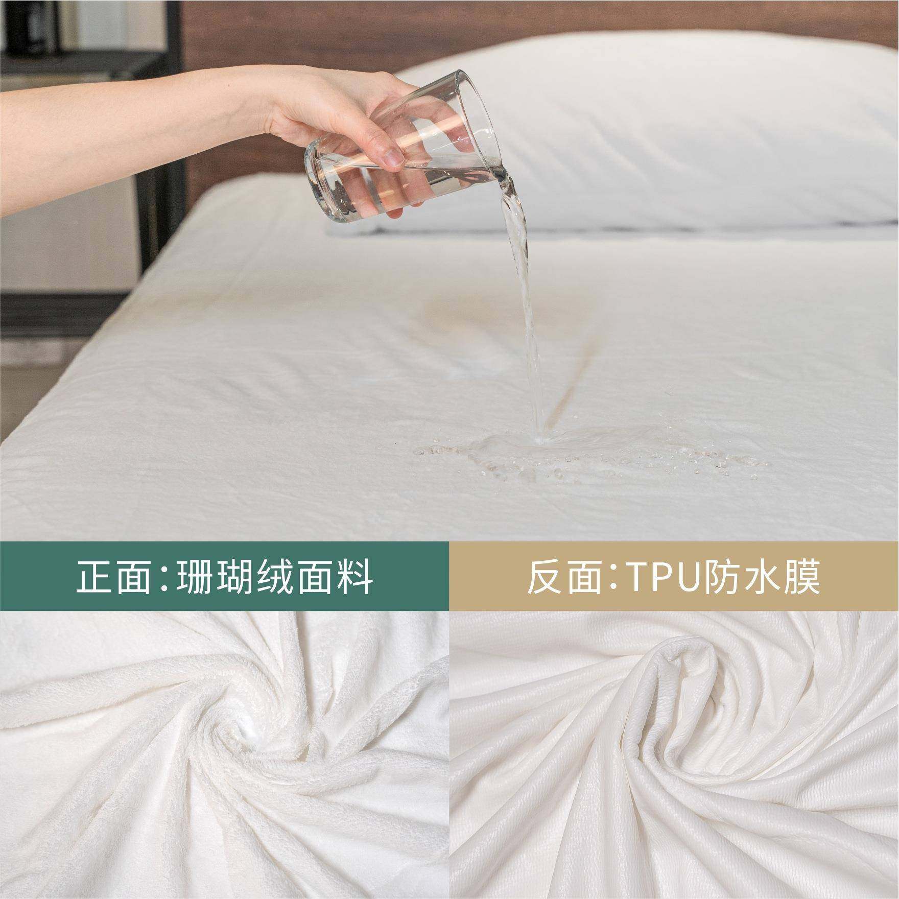 珊瑚绒加厚冬季保暖加厚床罩防滑防水简约床笠床垫保护罩隔尿床垫,鲜花速递/花卉仿真/绿植园艺,割草机/草坪机,淘宝优惠券,粉丝福利购,淘宝优惠卷