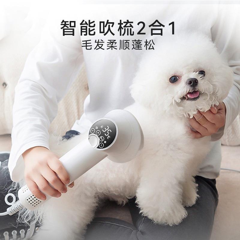智能款手持吹梳一体机宠物吹风梳子二合一猫咪狗狗梳毛吹毛用品