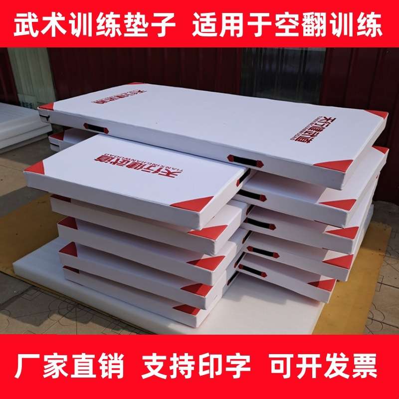 气垫空翻舞蹈帆布武术室内空翻练功海绵训练垫子垫跆拳道仰卧起坐