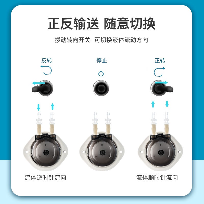 雷熔实验室ZP200小流量型调速自吸循环蠕动泵 灌装机水泵配硅胶管