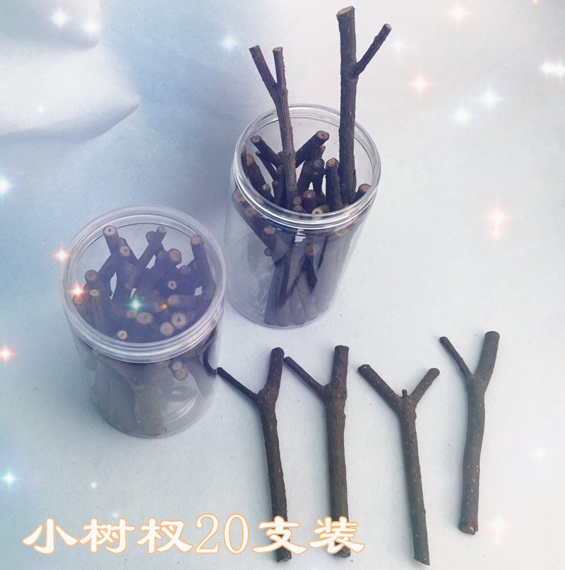 自然材料小树杈干树枝DIY手工制作幼儿园木工坊低结构环创装饰品