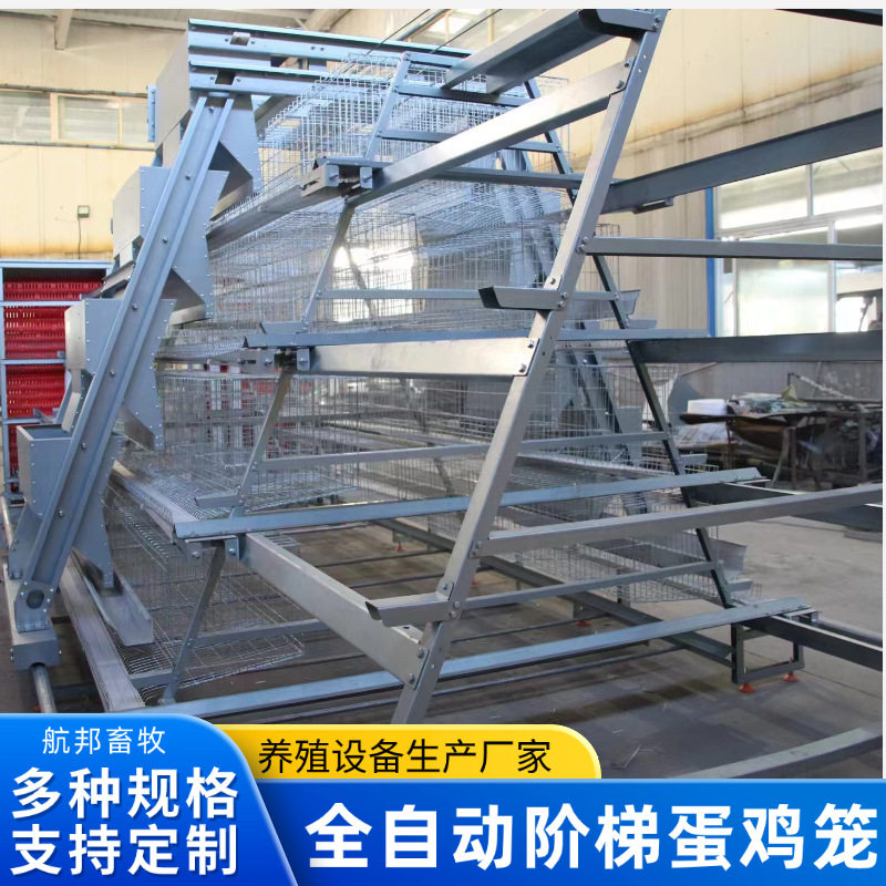 蛋鸡笼全自动设备 喂料机捡蛋机自动滚动镀锌鸡笼子养殖阶梯鸡笼