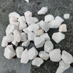 天然278石子鹅卵石白石头汉玉白彩石园艺白盆肉栽石头多铺面庭院