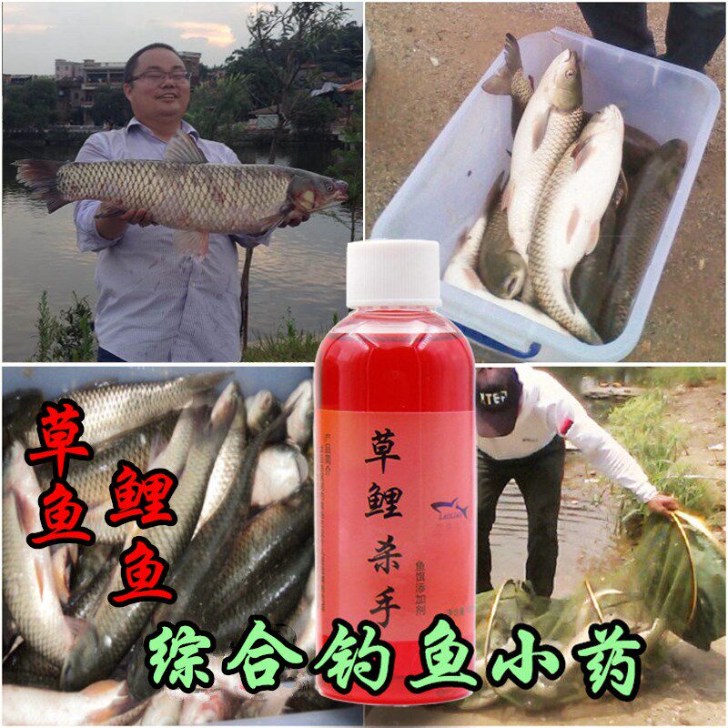 钓鱼饵料添加剂 草鲤杀手鲤鱼小药 草鱼鲩廖师傅黑坑水库老打窝料