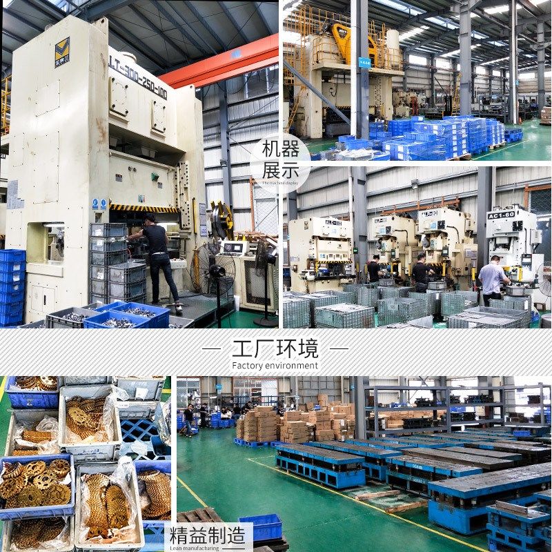 日晖山地车HG卡式飞轮8/9/10/11/13速八九速后轮自行车变速齿轮盘