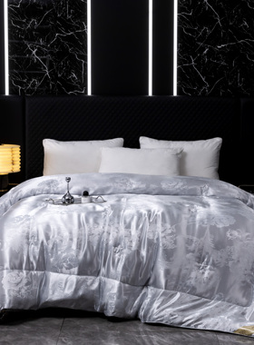 无印独白2025新款提花蚕蛹蛋白被子保暖春秋被被芯单双人学生FN