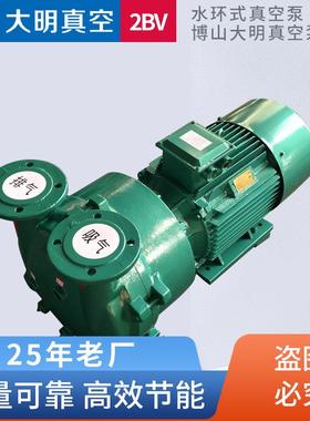 2BV系列2.35KW/3.85KW/4KW/5.5KW/7.5KW/11KW/15KW水环式真空泵