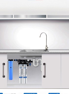 爱惠浦i20002 净水器 TWIN双联机餐饮奶茶咖啡店过滤 双联净水器