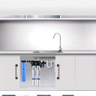双联净水器 TWIN双联机餐饮奶茶咖啡店过滤 爱惠浦i20002 净水器