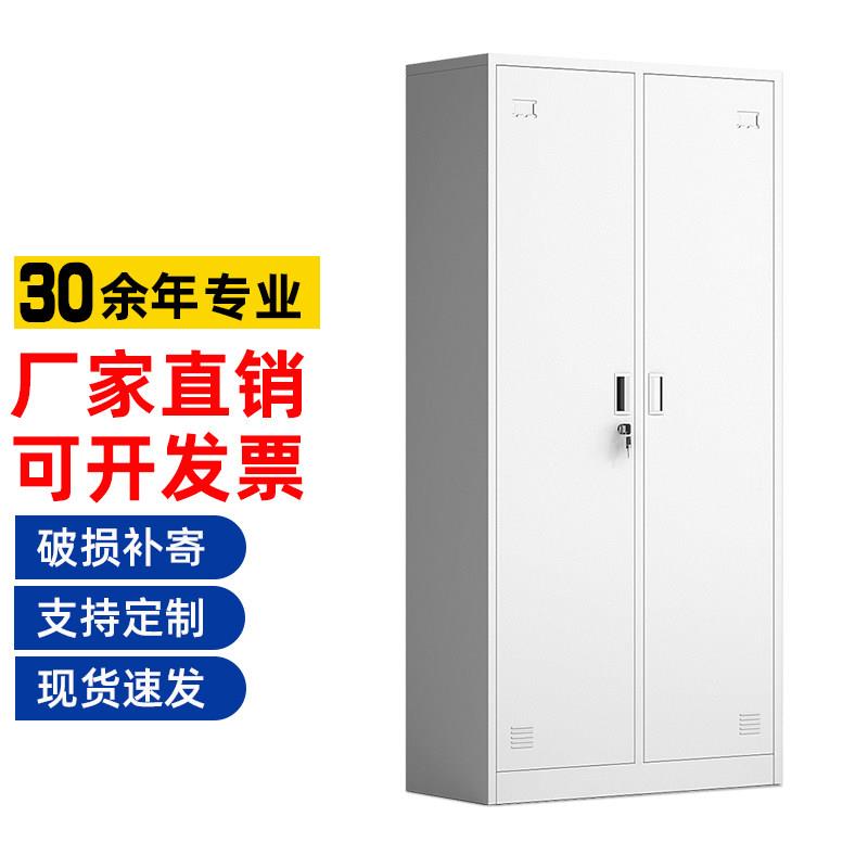钢制二门更衣柜宿舍带锁多门储物柜工厂员工换衣柜子铁皮双门衣柜