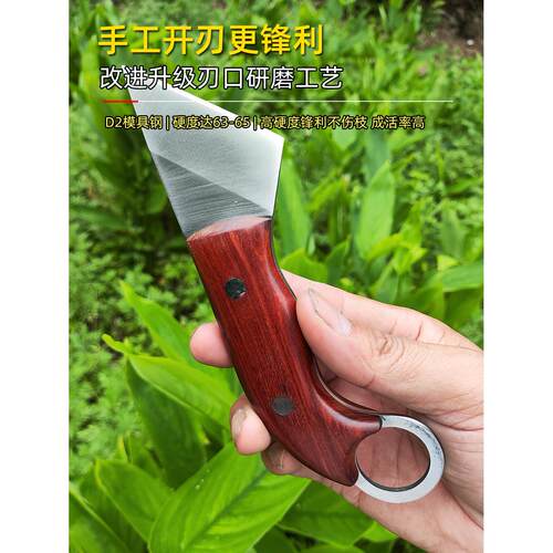 进口D2模具钢紫檀接枝刀硬度63-65园艺金大理石芽接枝刀园艺接枝