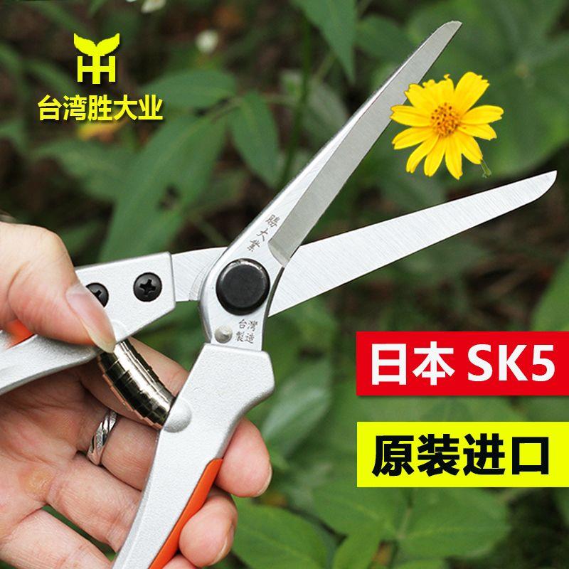 胜大业进口花艺剪刀直刃鲜花修枝摘果修花专业园林树枝园艺工具