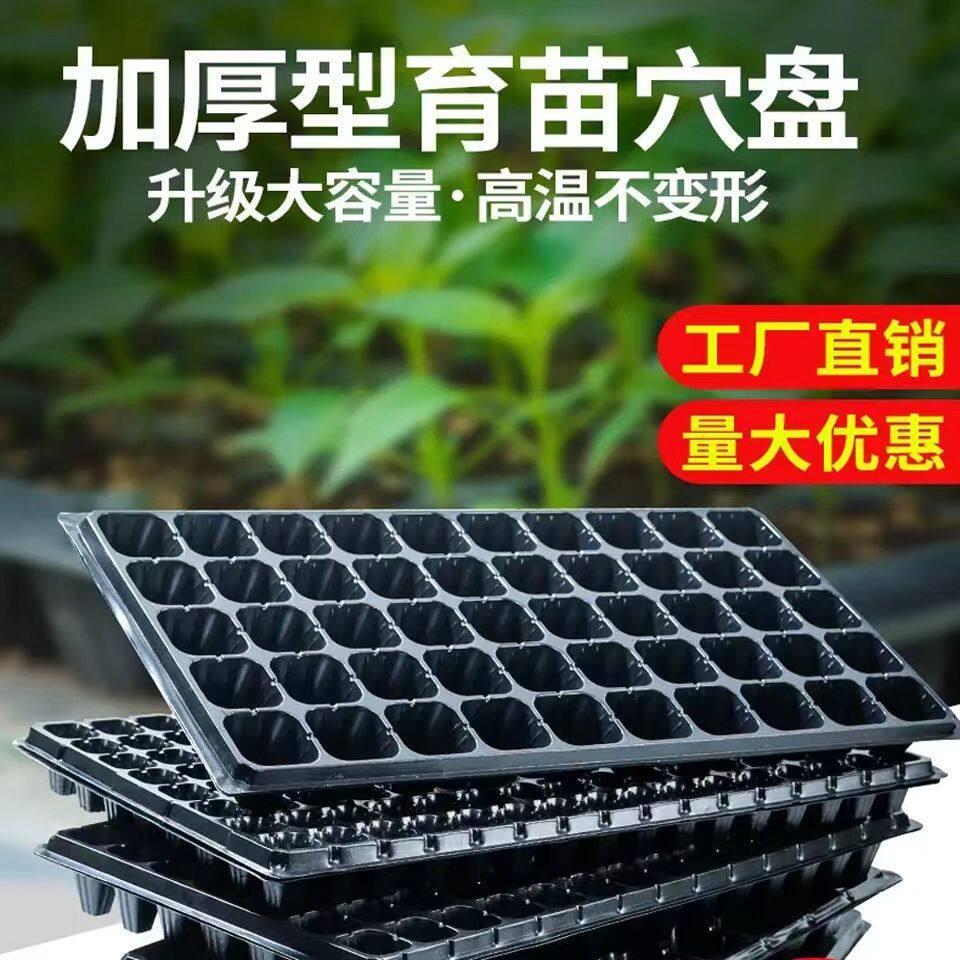 育苗盘宽底50穴全新材质花卉桉树毛桃扦插育苗盘专用盘种菜专用盆