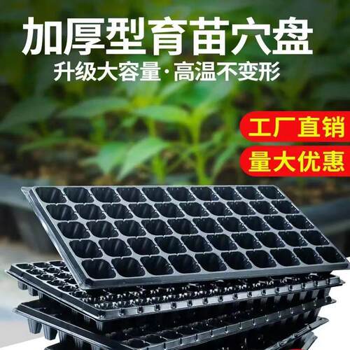 育苗盘宽底50穴全新材质花卉桉树毛桃扦插育苗盘专用盘种菜专用盆