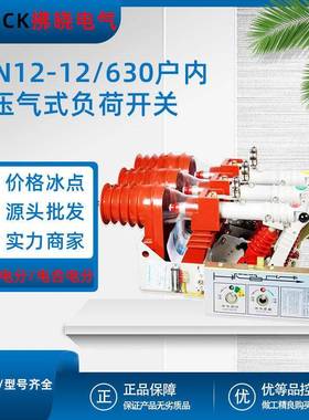 FKN12-12/630户内高压压气式负荷开关FN12-12RD电动手合电分FZN25