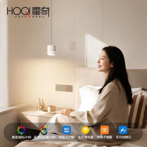 全光谱可头升降小吊2灯25新款极简0现代简约玄关卧室HQ-AD238床护