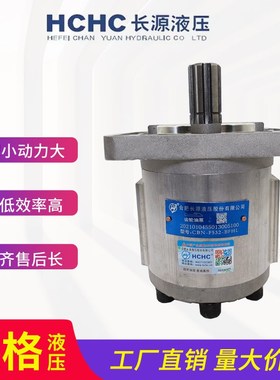 长源齿轮油泵 CBN-F520/F525/F532/F540/F550/F563/F580-BFH/BFPL