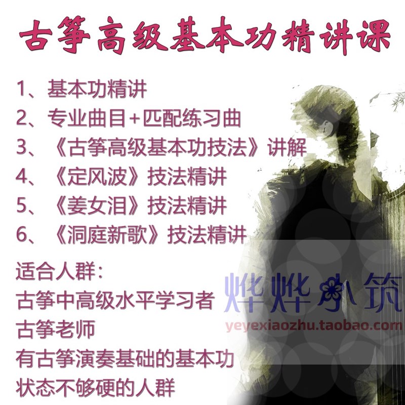 叶斯逸古筝进阶基本功课程技法大音乐/乐器陪练