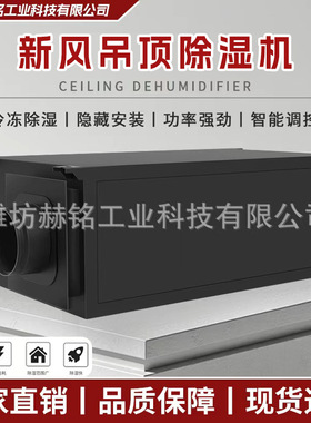 新风吊顶除湿机大功率工业抽湿机 仓库吸潮机地下室商用除湿器