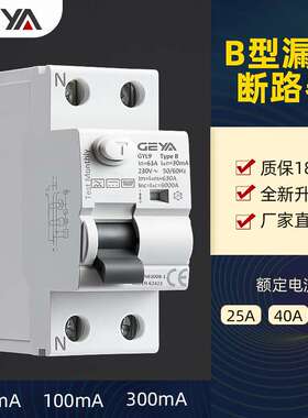 GEYA格亚GYL9-B型漏电保护器2P/4P 40A 63A 30mA/100mA/300mA