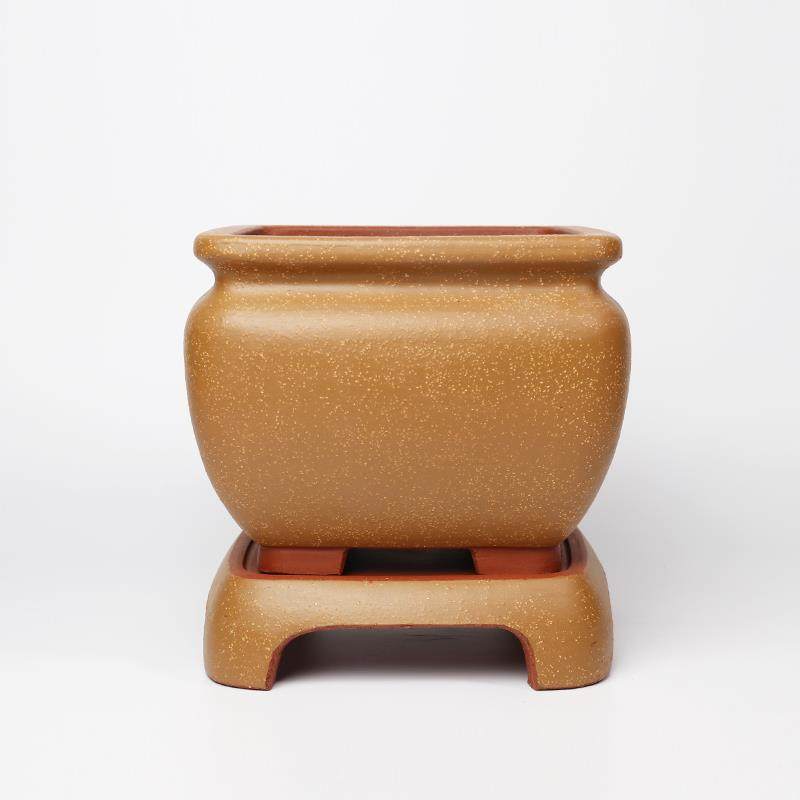 蔓木人紫砂紫砂花盆大四方兰花盆矮种梅桩盆景盆手工