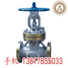 QZS高温高压电站截止阀0蒸汽导热油截止D阀N5010150