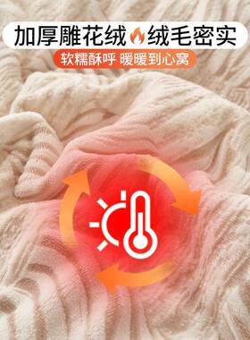 棉可ZY-230g拆洗双面暖绒被子被加保春秋厚被芯冬天宿舍单人被褥