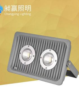 100WLED投光灯12V24V100WLED投光灯100W防爆投光灯低压投光灯