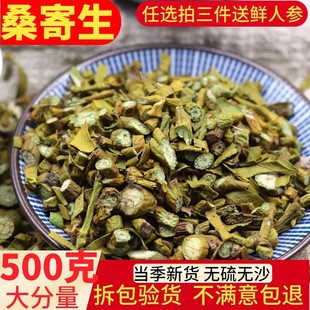 桑寄生500g克包邮 桑寄生茶 广寄生配杜仲当归干货可磨桑寄生粉