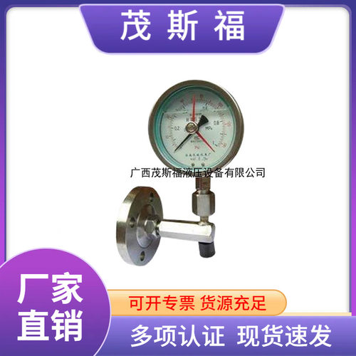 DLYTP角型法兰隔膜压力表 DLYTP不锈钢耐震隔膜压力表