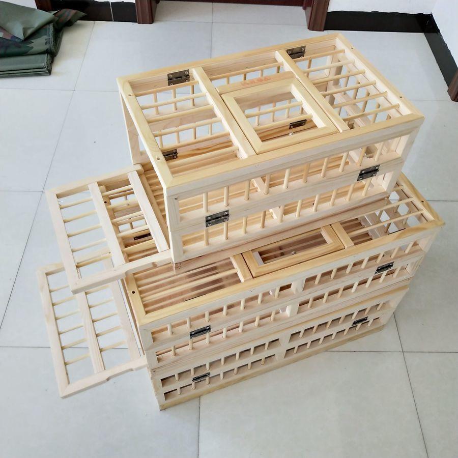 信鸽用品鸽具鸽子放飞笼训放笼折叠赛鸽笼鸽子笼比赛笼训鸽笼
