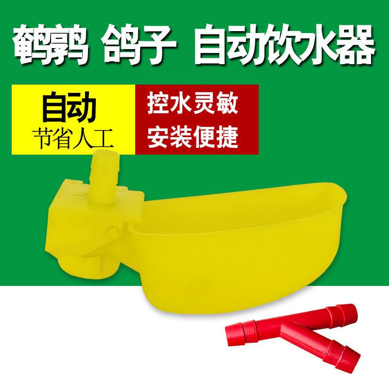 鹌鹑鸽鸟鸡用自动碗式饮水器饮水碗饮水杯鸽子饮水器鹌鹑饮水碗