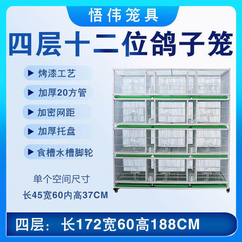 四层十二位鸽子笼加厚加密防黄鼠狼带托盘带食槽水槽鸽子配对笼