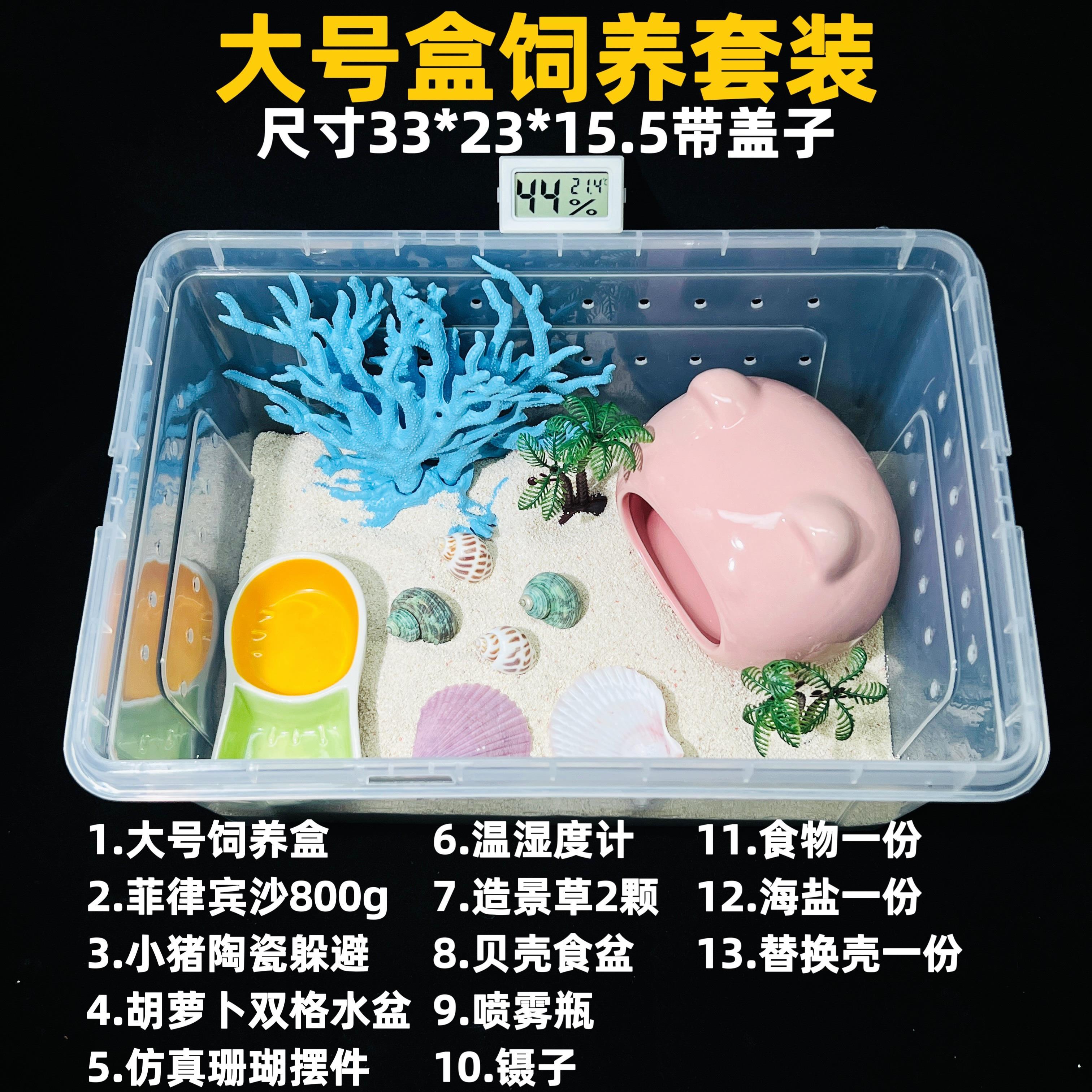 寄居蟹套装饲养套餐新手爬宠办公桌塑料饲养盒懒人宠物抖音网红蟹