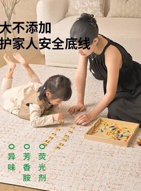 洗沙地毯客厅新款kcx28120雪尼尔奶油风双层可拆级洗高原木风卧室