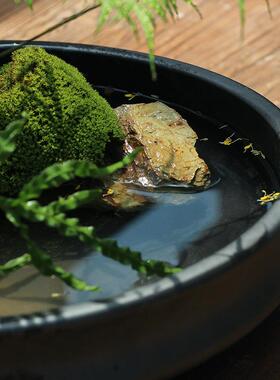 瓷陶瓷黑色无孔盆栽假山水浅IET剑山新式插盘花器皿陶中圆日式禅